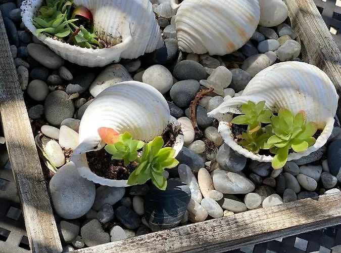 Apartamento Centre *